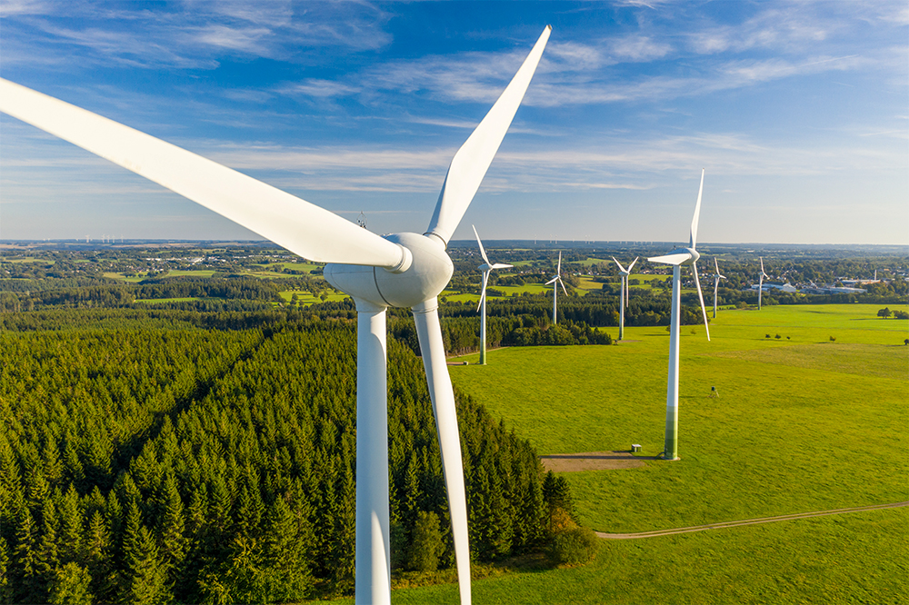 Windräder in einem Waldgebiet